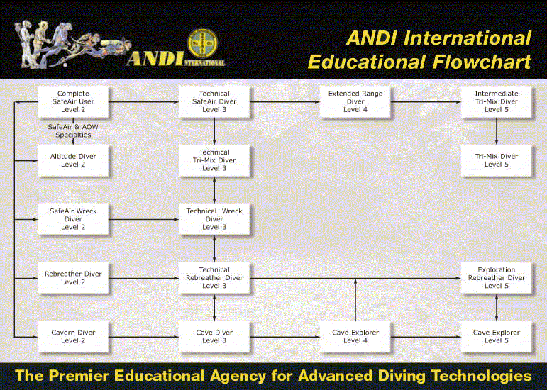 ANDI Flow Chart 2